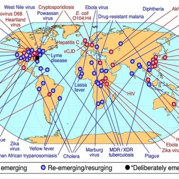 La nueva era de las plagas del capitalismo. El Covid-19 fue la pandemia menos inesperada de la historia (III)