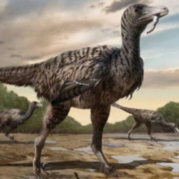 Descubren huellas de velociraptor de tamaño mayor al rango de la especie