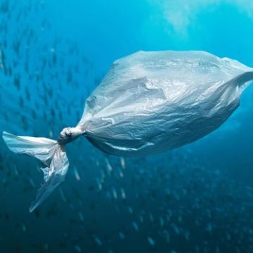 Plático Las negociaciones del tratado global sobre plásticos concluyen con discrepancias sobre la limitación de su producción
