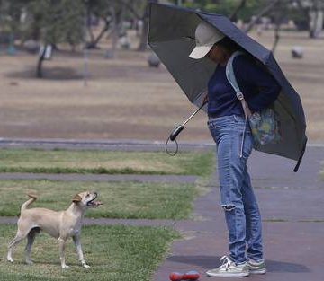 altas temperaturas Notoria irritabilidad, un efecto de las olas de calor por la reducción de serotonina