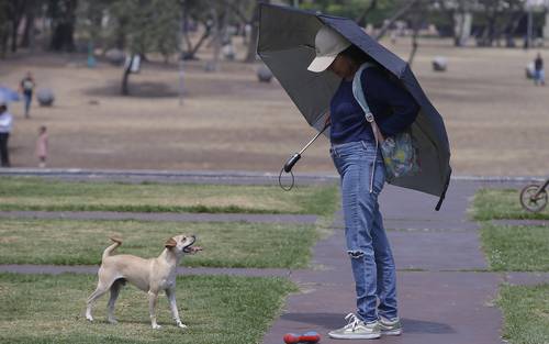 altas temperaturas Notoria irritabilidad, un efecto de las olas de calor por la reducción de serotonina