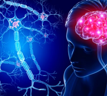 Implante cerebral entrenado con inteligencia artificial permitió a un paciente bilingüe recuperar el habla