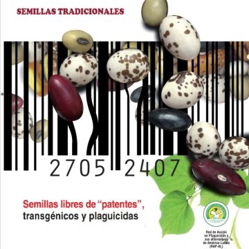 El Gobierno resuelve remplazar semillas tradicionales por transgénicas, ¿fin de la alimentación sana?