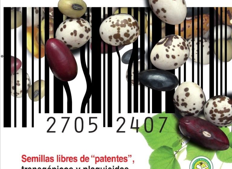semillas El Gobierno resuelve remplazar semillas tradicionales por transgénicas, ¿fin de la alimentación sana?