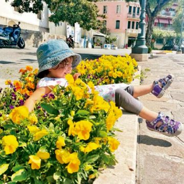 12 ¿Hacia la paz con la naturaleza?
