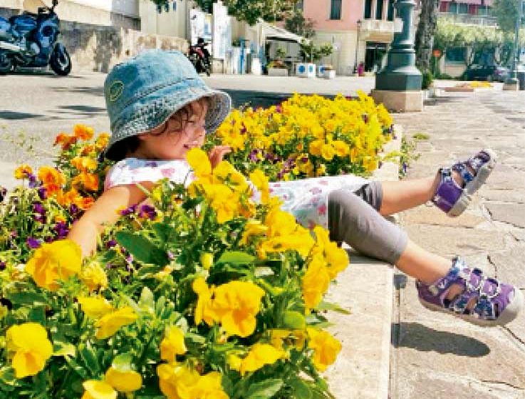 12 ¿Hacia la paz con la naturaleza?