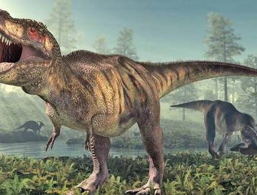El T. rex pesaba 70% más de lo estimado; hasta 15 toneladas