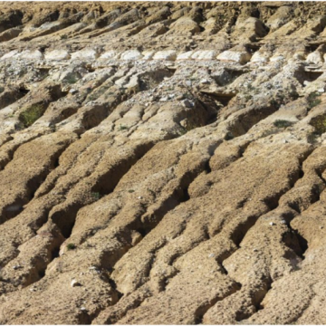 ¿Por qué las políticas climáticas no funcionan?