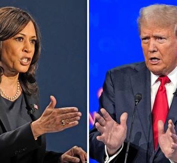 dos Sólo 6 estados, de 50, pueden dar el triunfo para presidente en EU