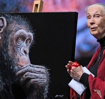Transformar estilos de vida frenará calentamiento global: Jane Goodall