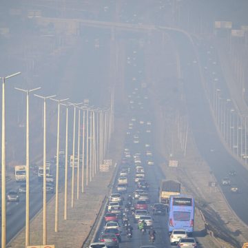 Brasil Brasil: el medioambiente, destruido poco a poco