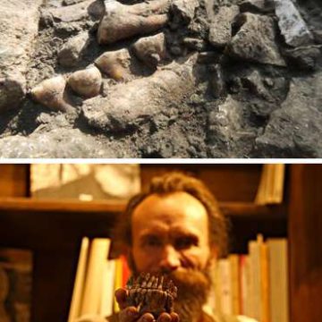 Aislamiento genético, posible causa de extinción de neandertales
