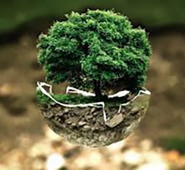 En los orígenes de la crisis ecológica