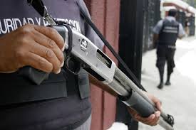 La privatización del Estado