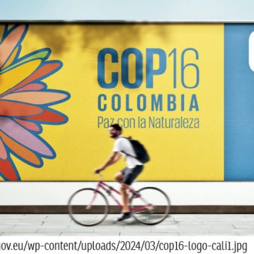 https://crossgov.eu/wp-content/uploads/2024/03/cop16-logo-cali1.jpg ¡Echando la casa por la ventana!