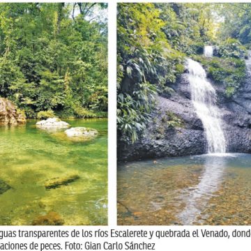 Fotografía 6. Aguas transparentes de los ríos Escalerete y quebrada el Venado, donde es posible realizar observaciones de peces. Foto: Gian Carlo Sánchez Observación de peces, generación de conocimiento y protección de la vida