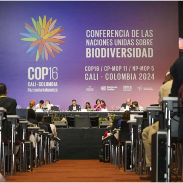 COP16: crisis de biodiversidad, negacionistas climáticos y extractivismos progresistas