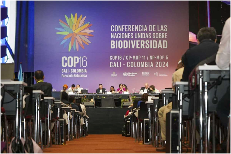 cop16 COP16: crisis de biodiversidad, negacionistas climáticos y extractivismos progresistas