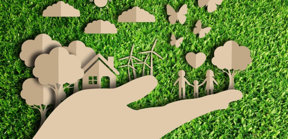 Una economía para promover una ecología sana