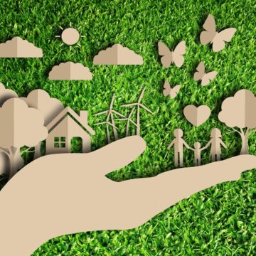Una economía para promover una ecología sana