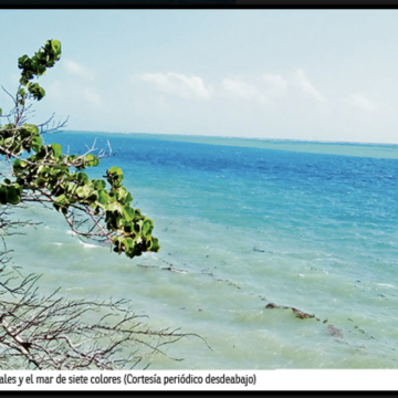 COP16. Sobre biodiversidad y otros temas climáticos