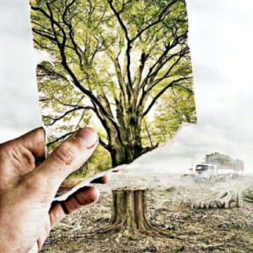 Majd Marie, https://in.pinterest.com/pin/2462974791779455/ Una larga noche en la protección de la Naturaleza