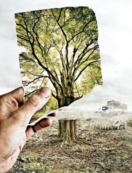 Una larga noche en la protección de la Naturaleza