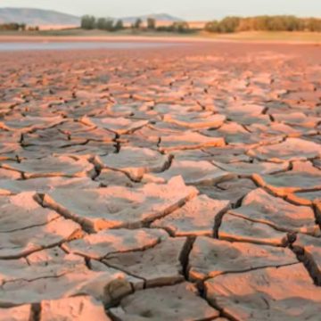 Mares que desaparecen: el legado ambiental de una prosperidad efímera