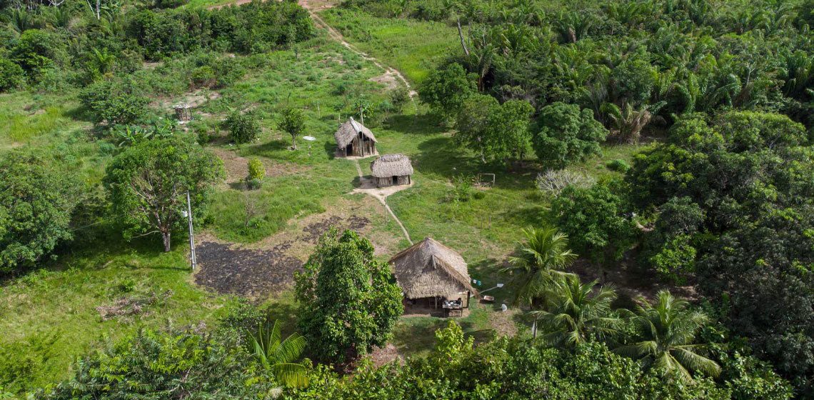 BBVA-indigenas-sostenibilidad-ezgif.com-avif-to-jpg-converter “Cambios estructurales en el cerebro”. Otra cara de la tormenta