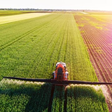 BIODIVERSIDAD Comercio agrícola mundial lastra la biodiversidad en Brasil y México