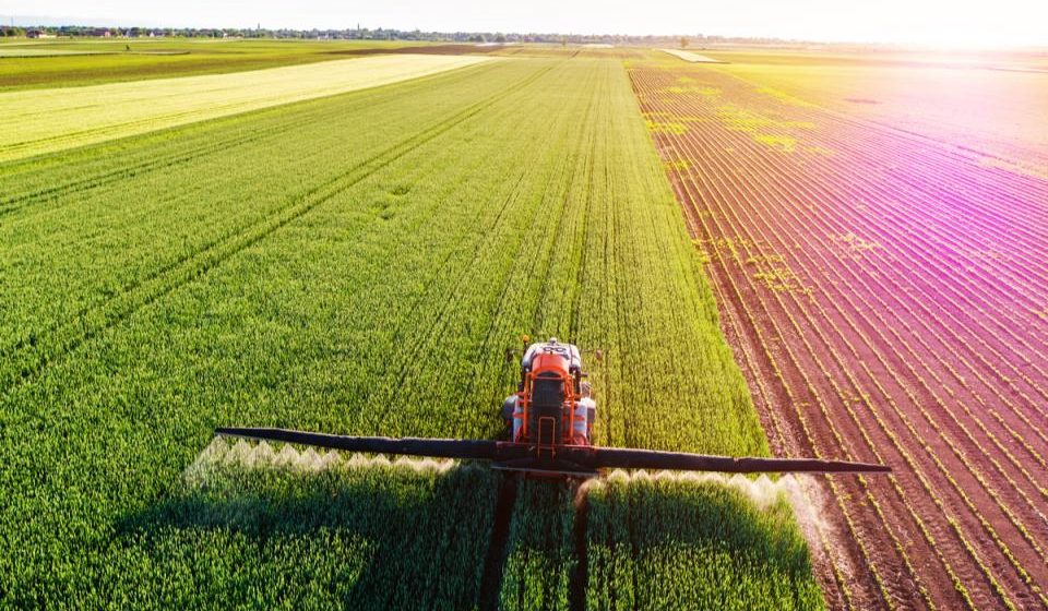 Comercio agrícola mundial lastra la biodiversidad en Brasil y México