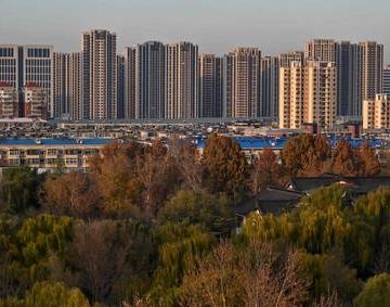 Plantar árboles incorrectos hace que las ciudades sean más calurosas: estudio 