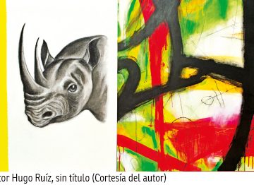 rino Felpudo europeo