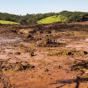 Brasil y (otra vez) la destrucción del medio ambiente