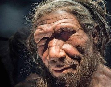 El oído de los neandertales revela claves de su misterioso origen, señala estudio