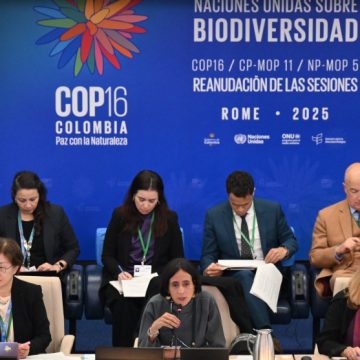 La COP16 de Biodiversidad logra un acuerdo histórico para financiar la conservación de la naturaleza