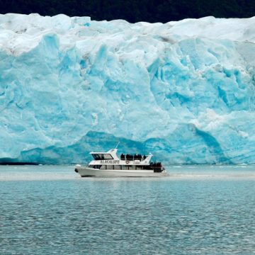 Glaciares en alerta: todas las regiones perdieron masa durante 2024 