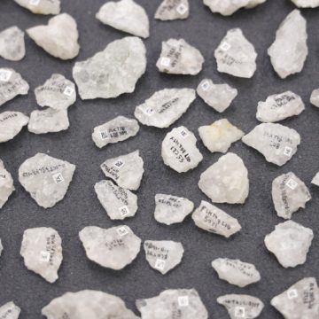 Descubren las primeras hachas de hueso de la historia, de hace 1,5 millones de años