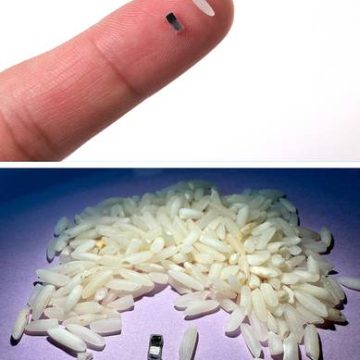 Médicos crean un marcapasos más pequeño que un grano de arroz