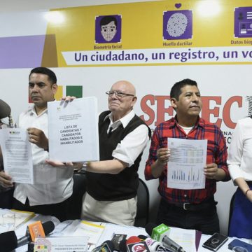 Bolivi Sin la presencia de Evo Morales, Bolivia tendrá diez candidatos presidenciales