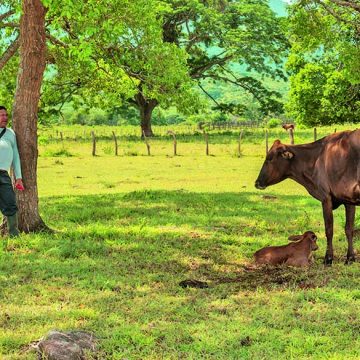 La reforma agraria del progresismo tardío
