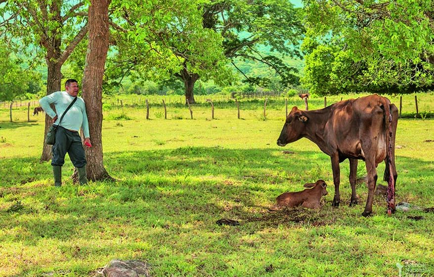 refagraria La reforma agraria del progresismo tardío