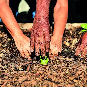 Ser agroecológico: nuevas subjetividades políticas para el movimiento social colombiano