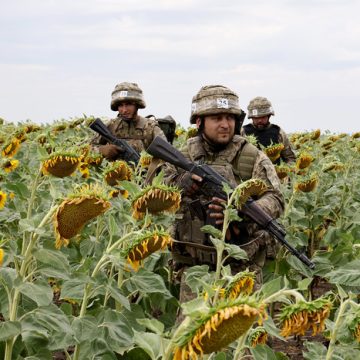 Sicarios latinoamericanos hacen pasantías en el Ejército ucraniano