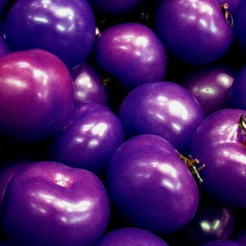 Alimentos IA