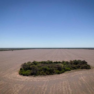 COP30 COP30: financiamiento climático y transición energética a diez años del Acuerdo de París
