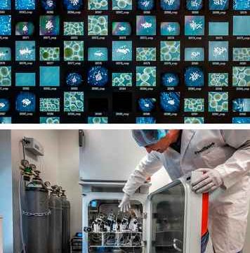 Neuronas humanas vivas, utilizadas para alimentar computadoras