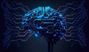 Científicos usan supercomputadora para representar la corteza cerebral