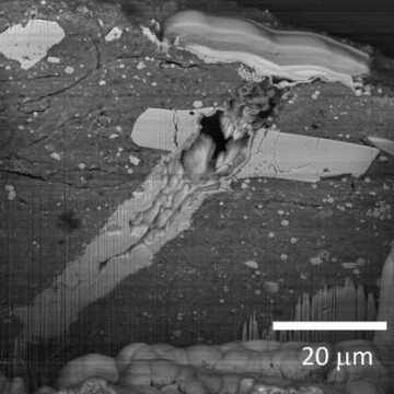 NASA detecta en el antiguo asteroide Bennu compuestos esenciales para la vida