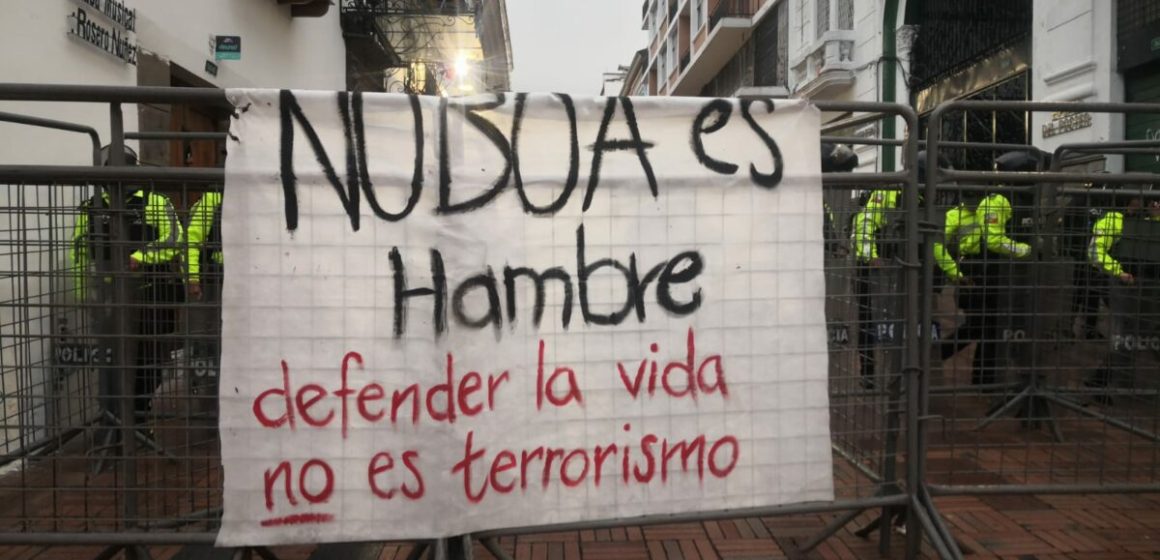 ecuae3 Saltó la liebre